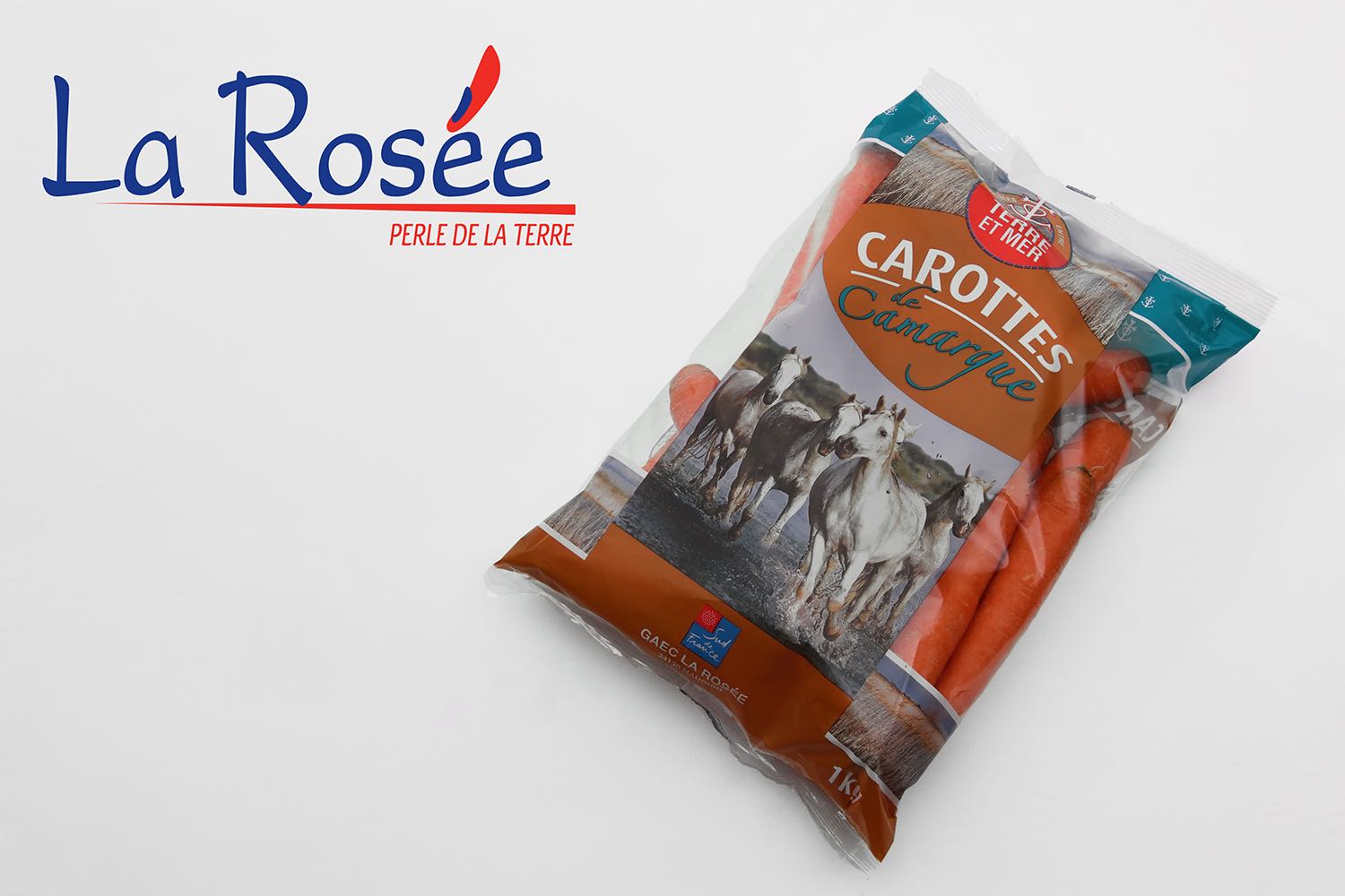 CAROTTE
