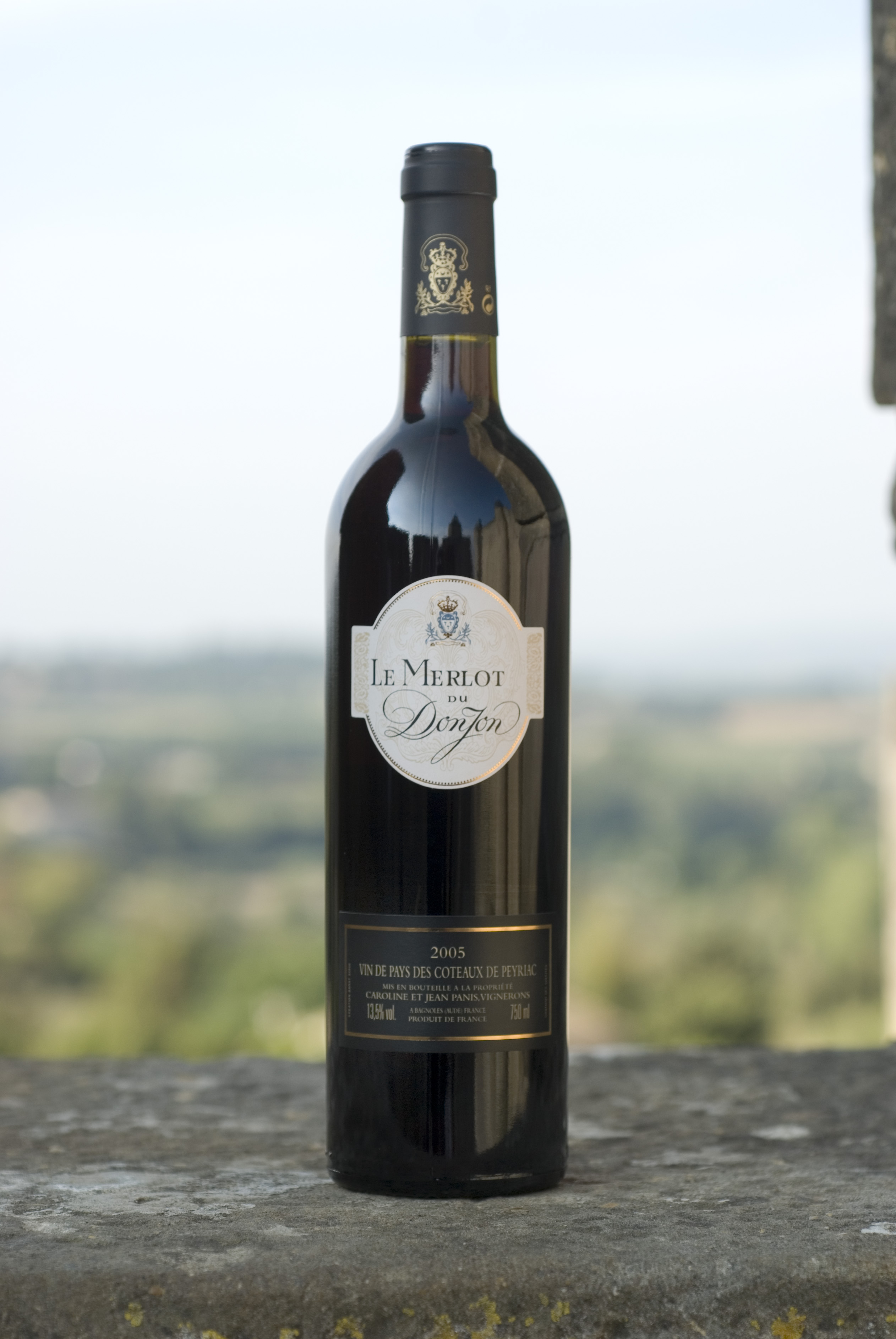 Le Merlot du Donjon