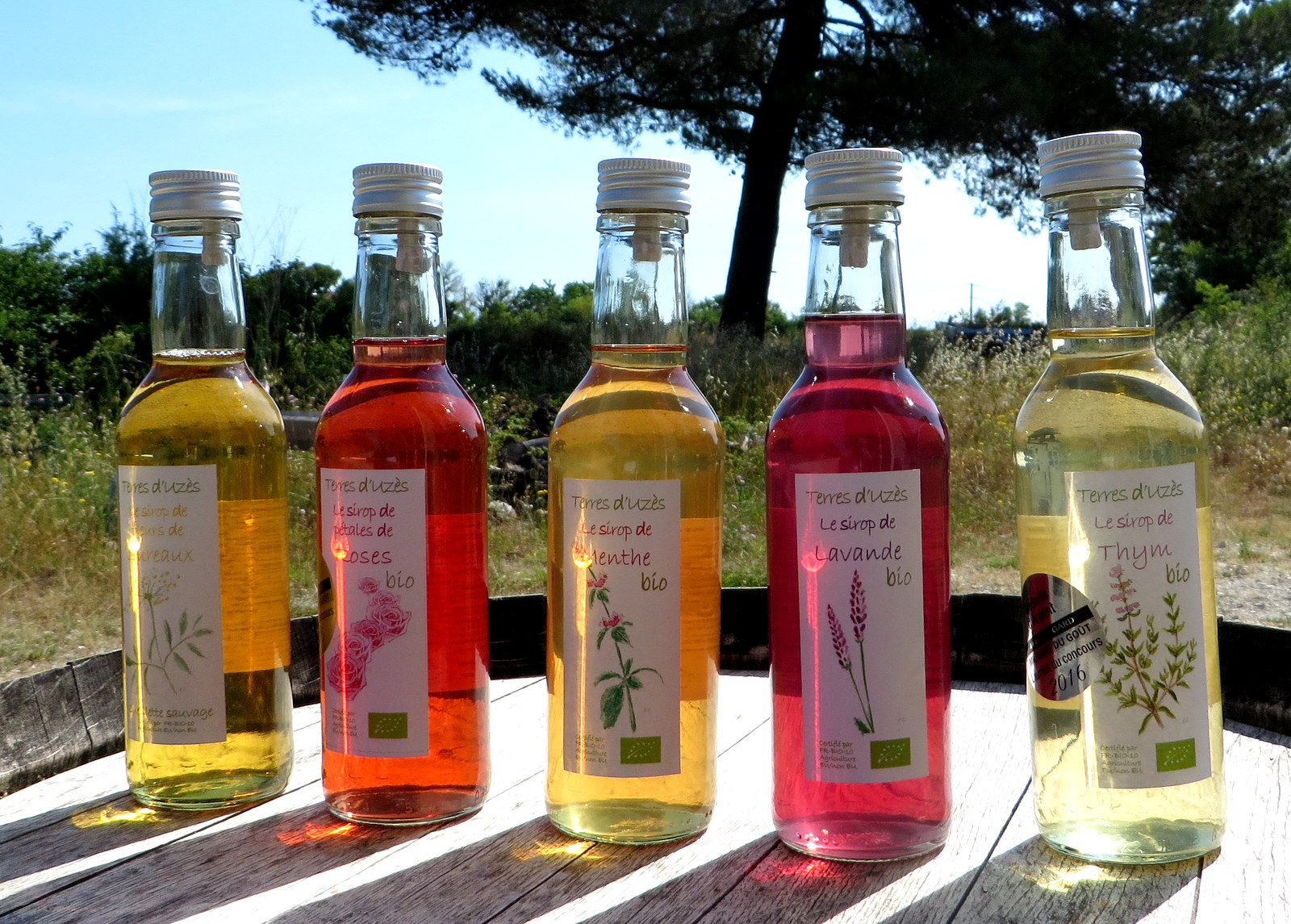 Sirop de romarin bio