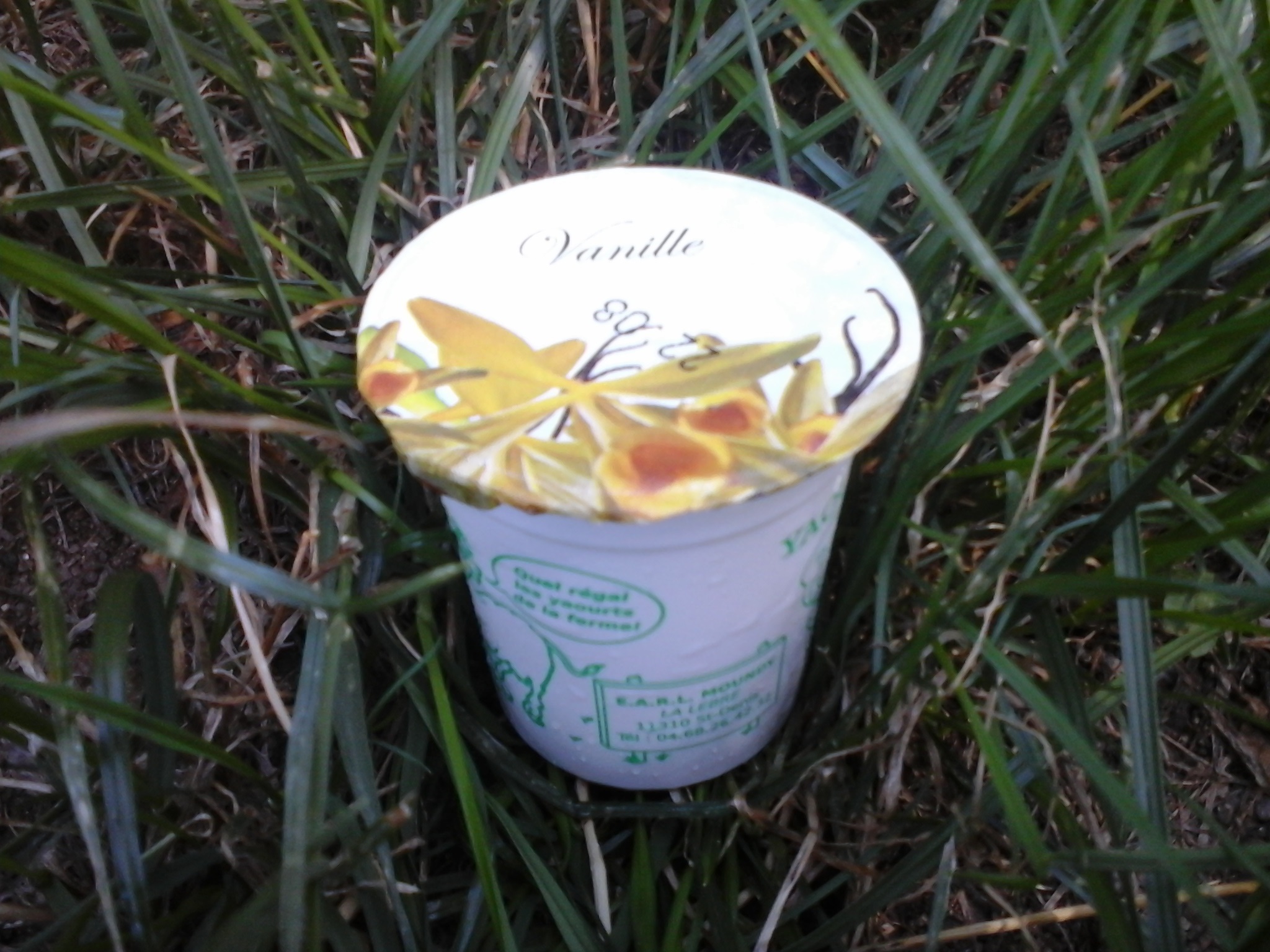 Yaourt Aromatisé Vanille