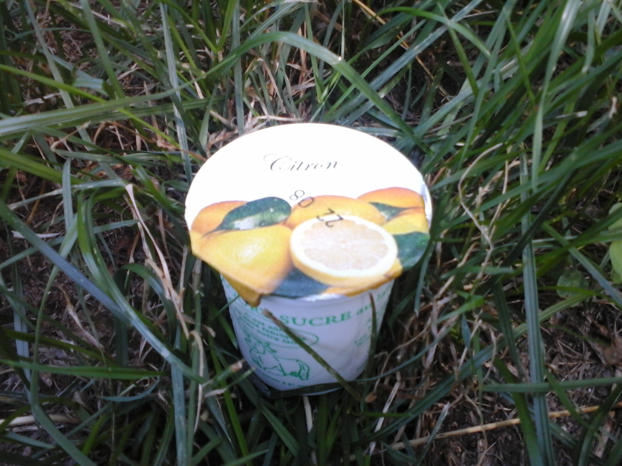 Yaourt Aromatisé Citron