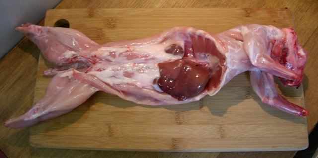 Lapin