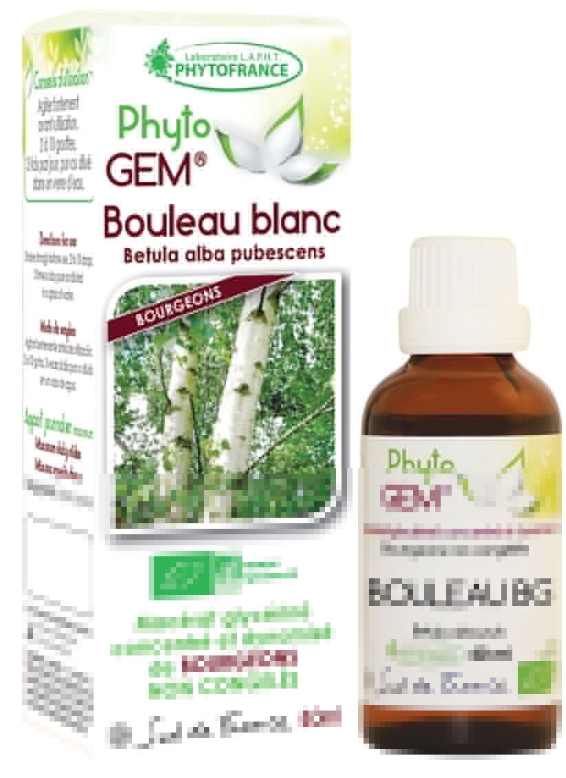 Phytogem Bouleau Blanc Bourgeon