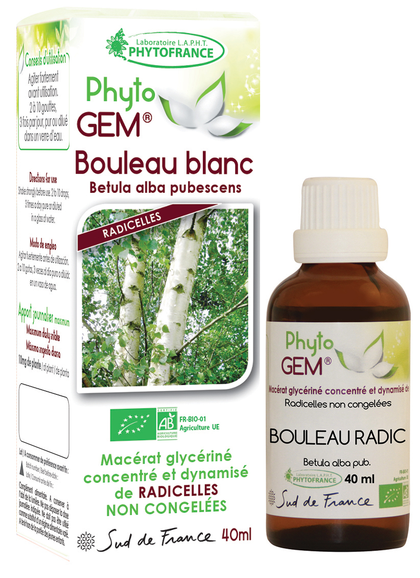 Phytogem Bouleau Blanc Radicelles