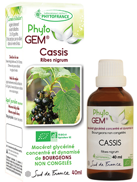 Phytogem Cassis