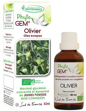 Phytogem Olivier