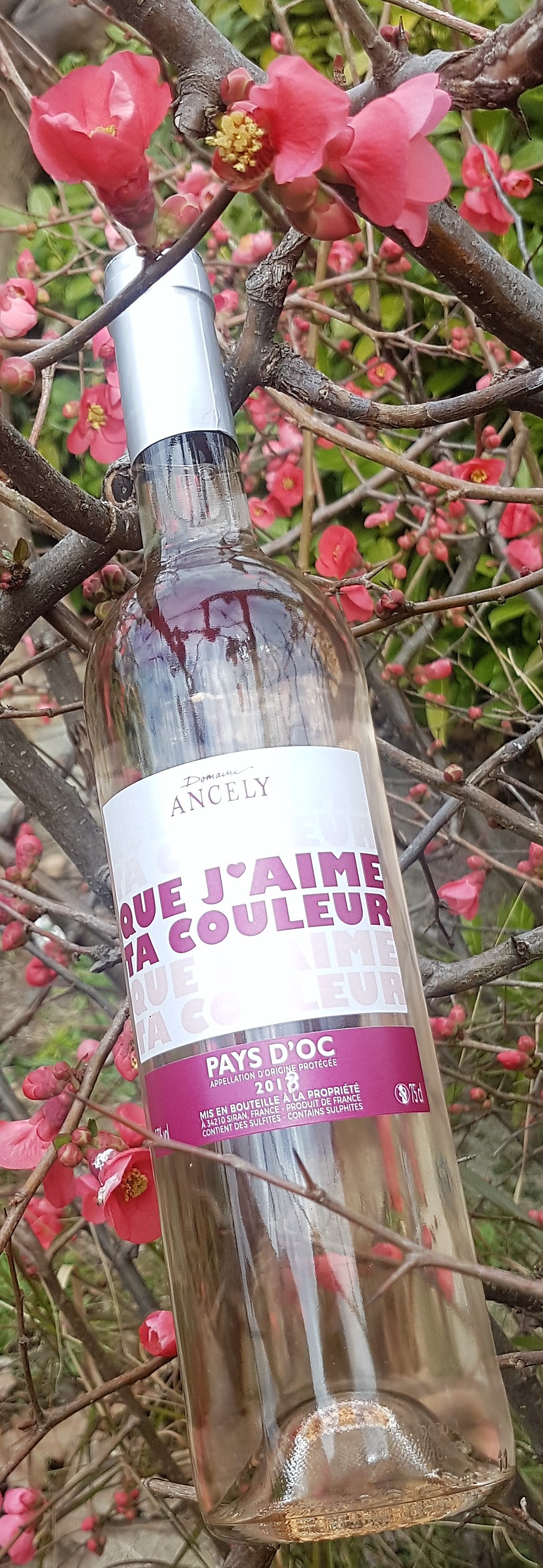 QUE J'AIME TA COULEUR