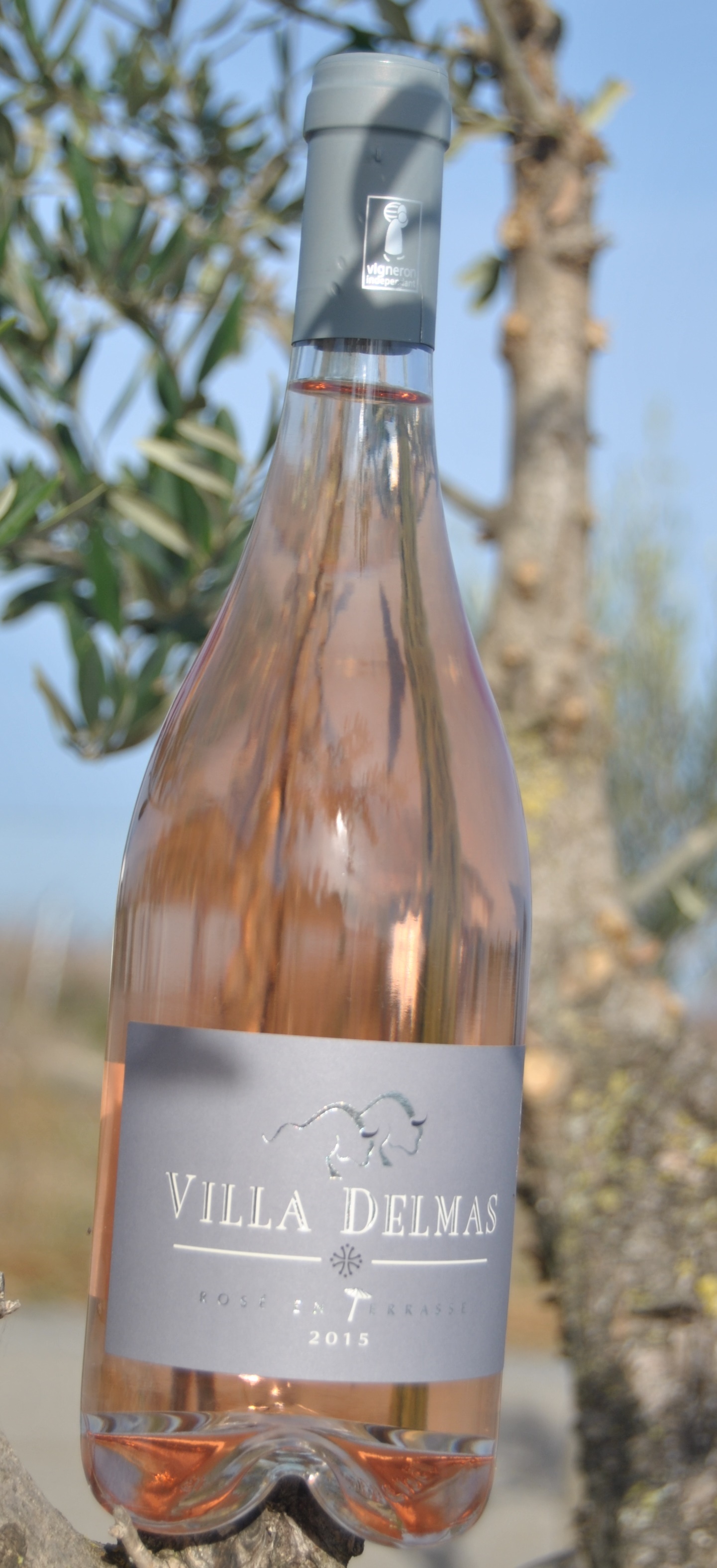 Rosé en Terrasse